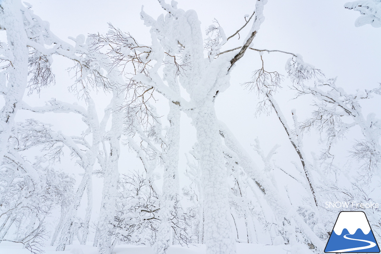 大雪の恩恵に感謝しながらパウダーを滑る！北海道発 スキー・アウトドア専門店『パドルクラブ』のスタッフたちの休日。【記録的大雪編】in 十勝サホロリゾート